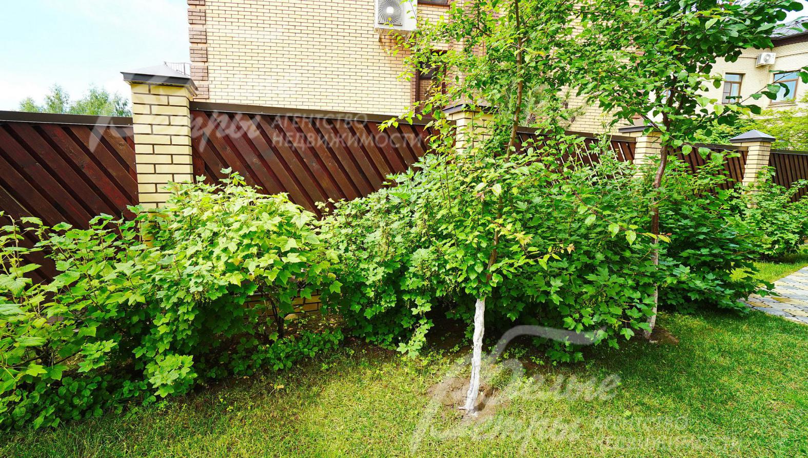 На территории растут плодовые деревья и кустарники 