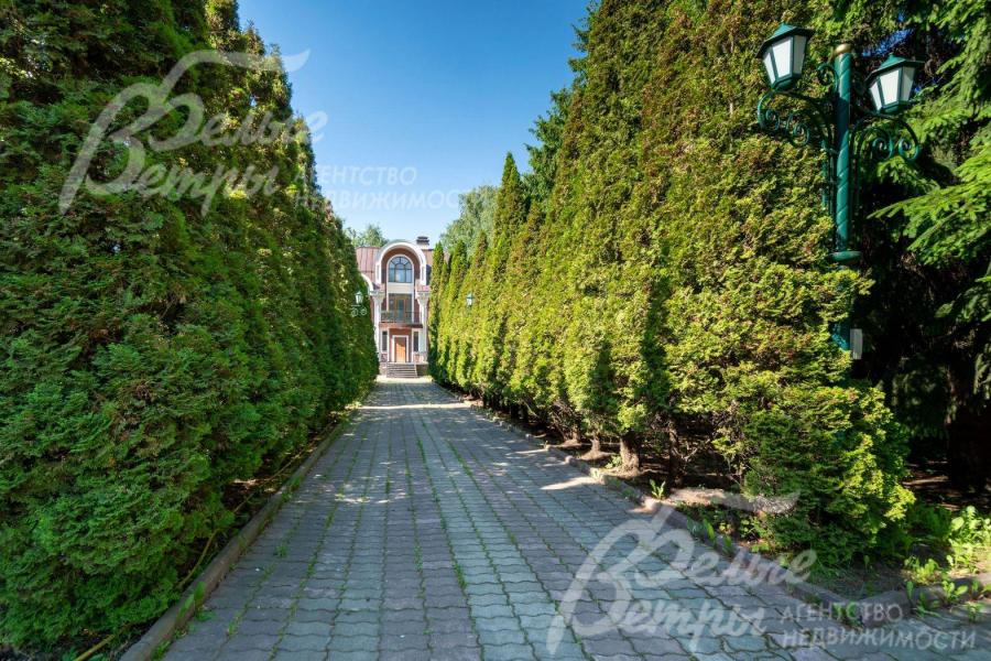 Красивая зеленая аллея из многолетних туй ведёт к дому