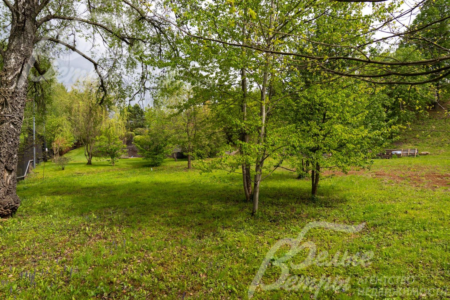 Нижний уровень участка выровнен, растут лесные деревья