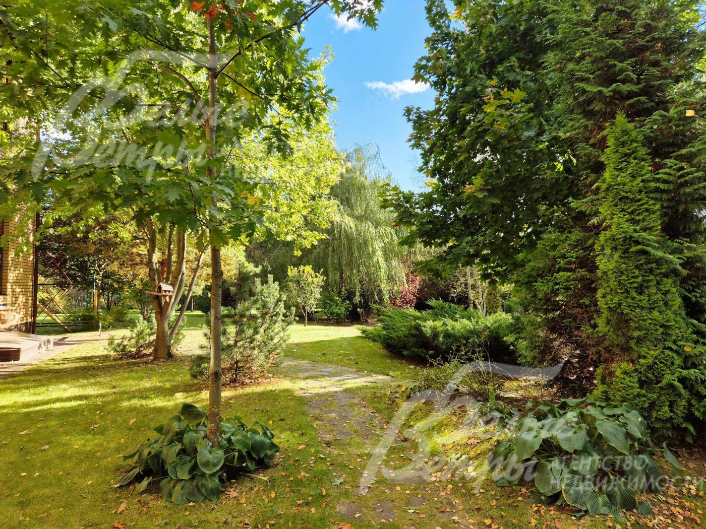 Множество лесных и декоративных деревьев.