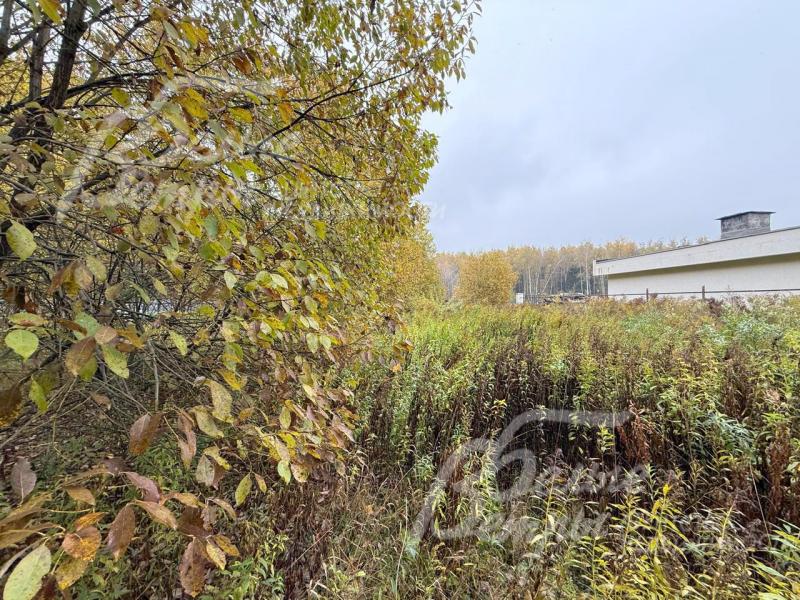 На участке нет строений, с одной стороны он открыт