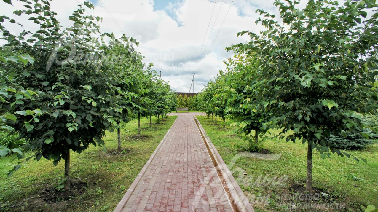 Прогулочные дорожки и сад в поселке Ильичевка