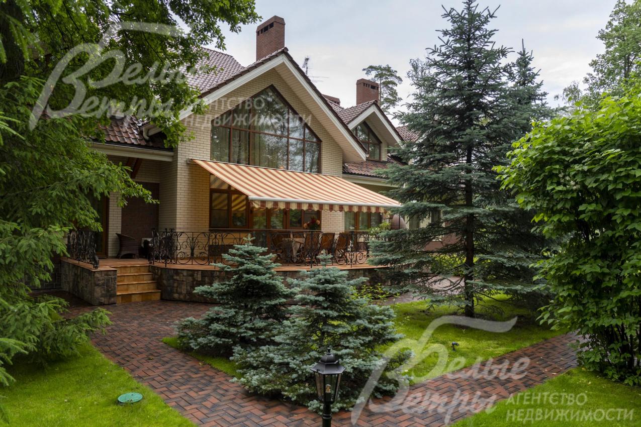 На участке высажены голубые ели