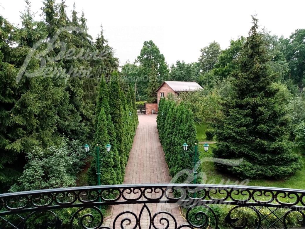 Вид с балкона 2-го этажа на участок летом