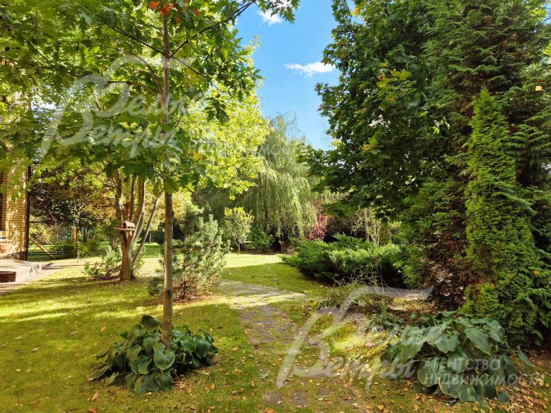 Множество лесных и декоративных деревьев.