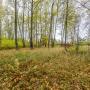 Участок, Зеленые холмы к/п (Першино), 30&nbsp;сот