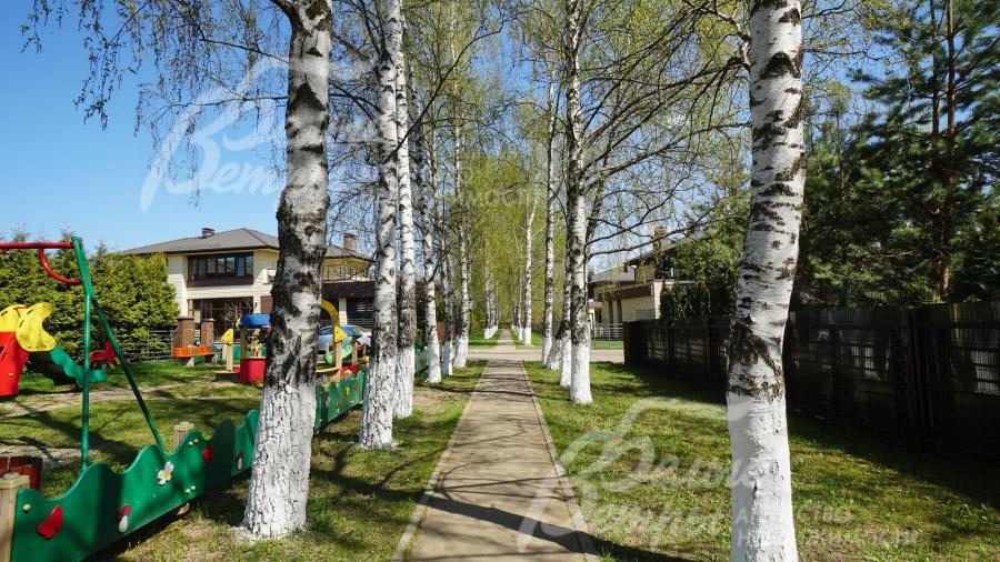 Особой изюминкой поселка Крекшино является наличие нескольких березовых прогулочных аллей