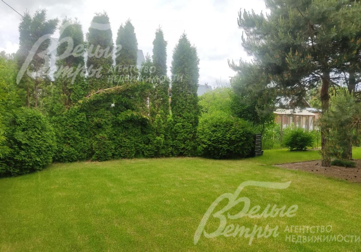 Рулонный газон по всей площади участка