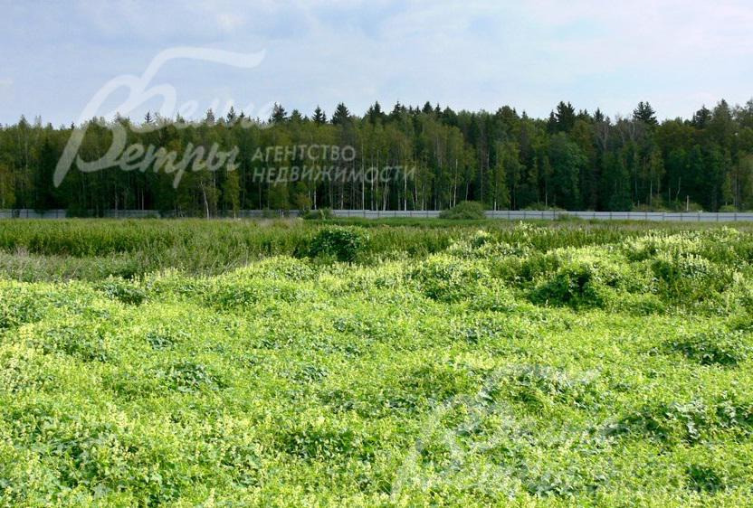 Участок 9 соток в КП Зосимово