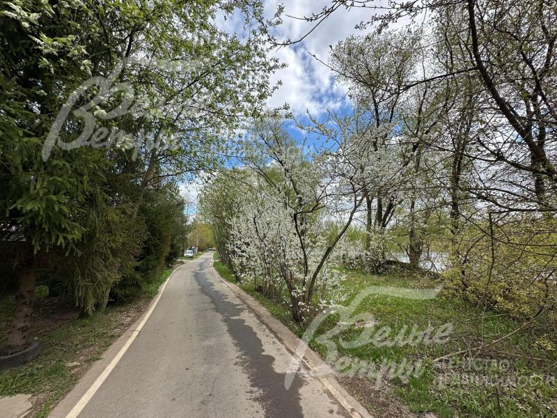 Дорога в деревне