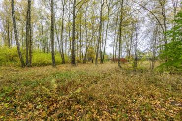 Участок, Зеленые холмы к/п (Першино), 30&nbsp;сот