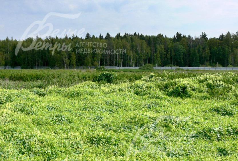 Участок 9 соток в КП Зосимово