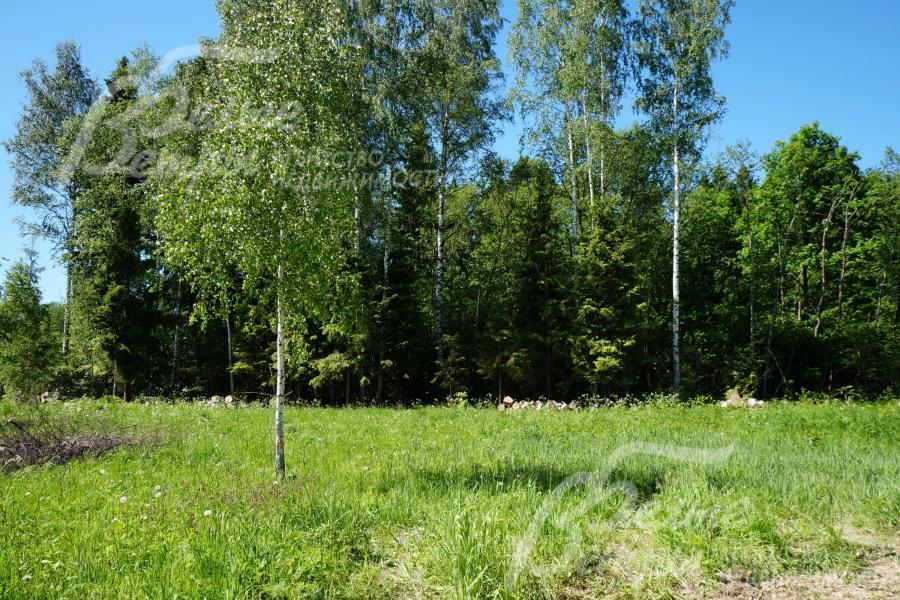 Коттеджный поселок Ритмы Природы находится в окружении лесного массива в 230 Га