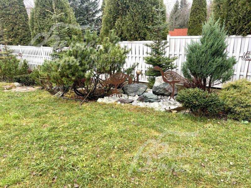 Хвойные деревья и кустарники создают плотную зелёную изгородь у забора