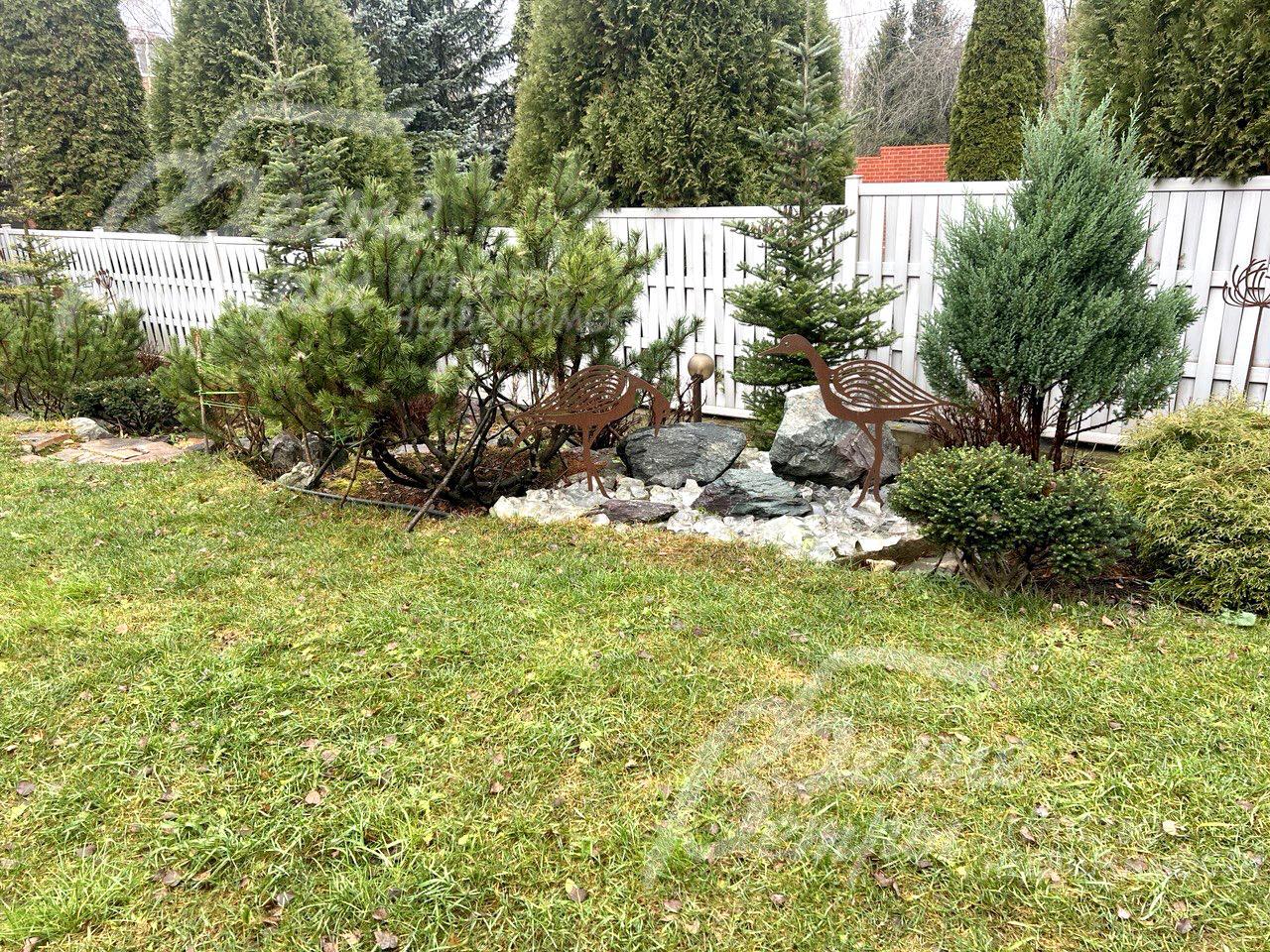 Хвойные деревья и кустарники создают плотную зелёную изгородь у забора