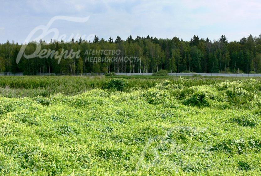 Участок 9 соток в КП Зосимово