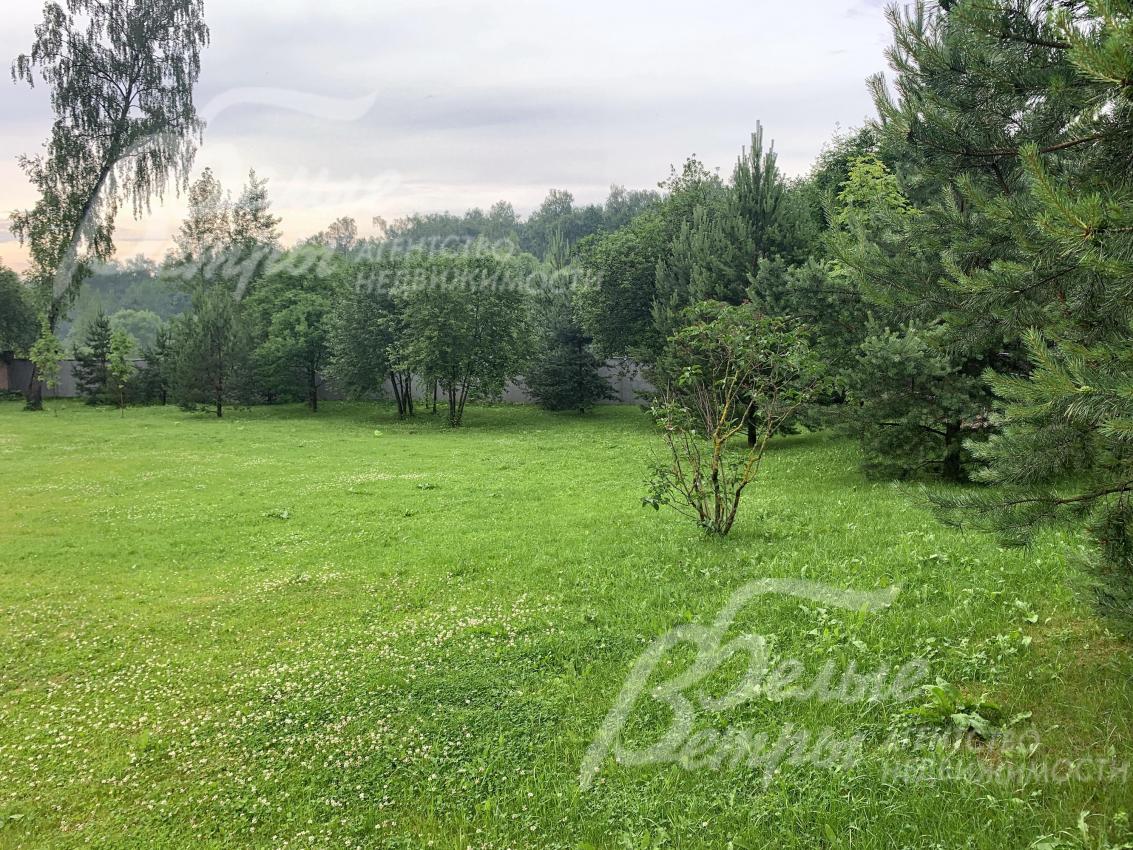 Растет множество деревьев и кустарников