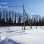Участок 17.8соток прилесной, рядом с озером.