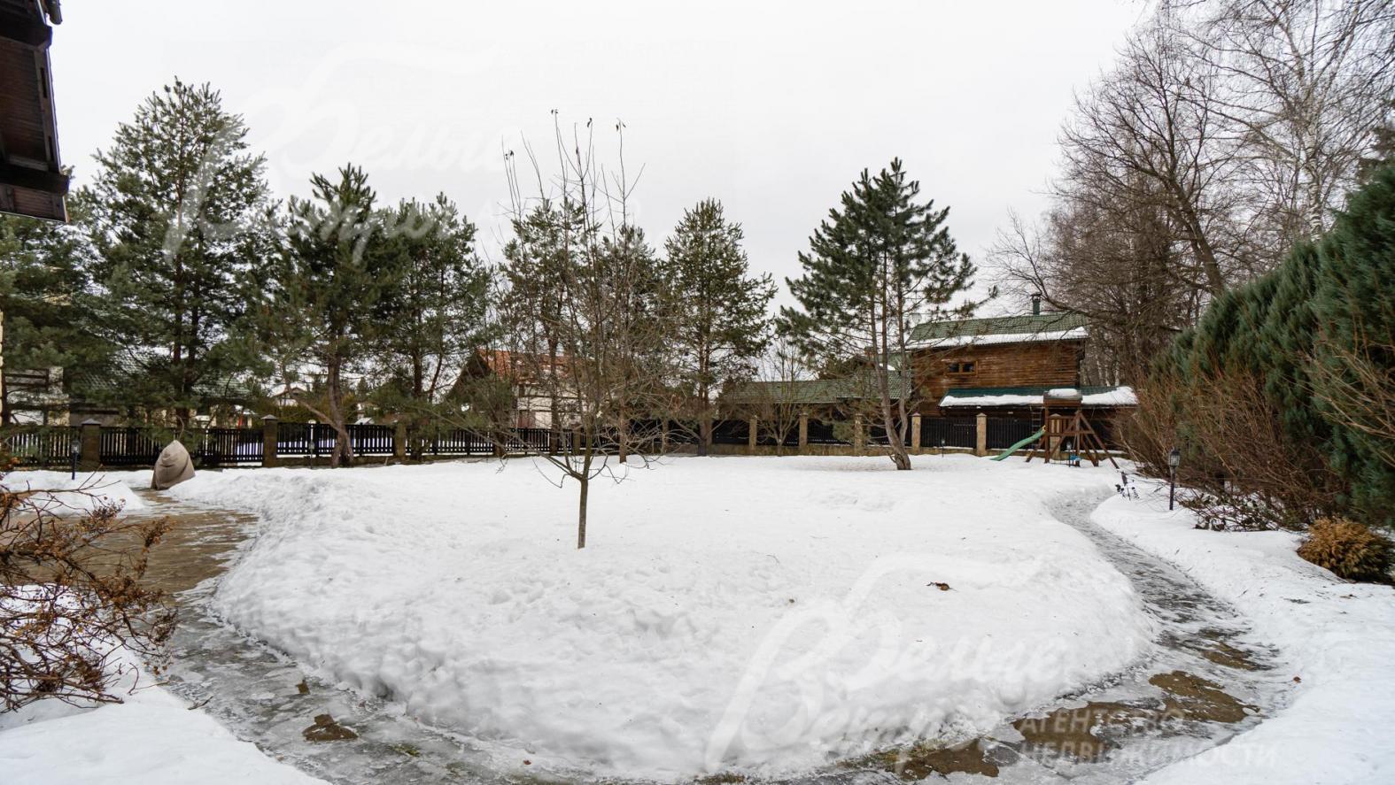 Высажены взрослые деревья