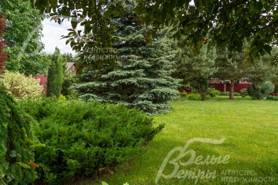 Высажен естественный газон, проложены 4 магистрали для автоматического полива