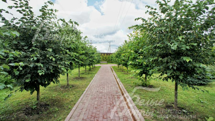 Прогулочные дорожки и сад в поселке Ильичевка