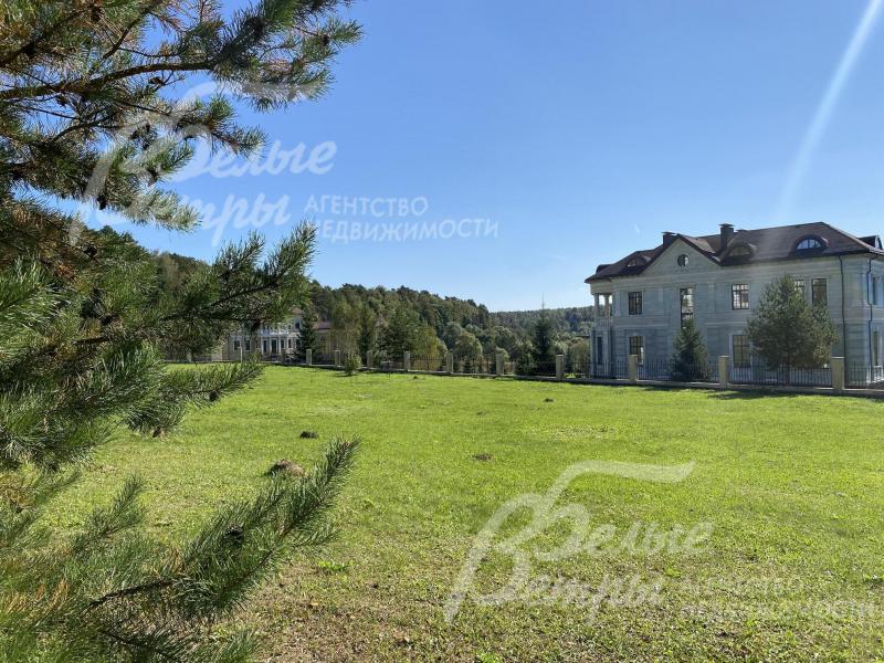 На участке растут взрослые деревья