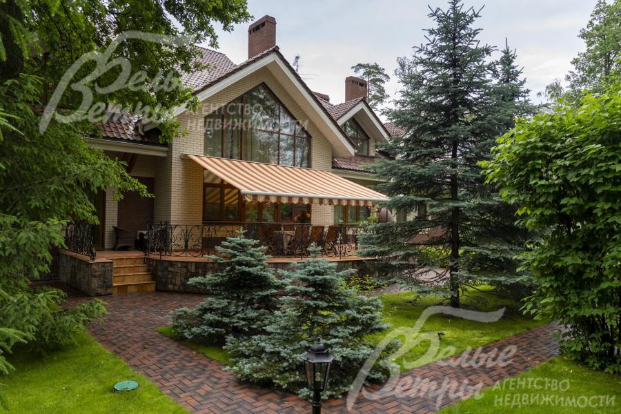 На участке высажены голубые ели