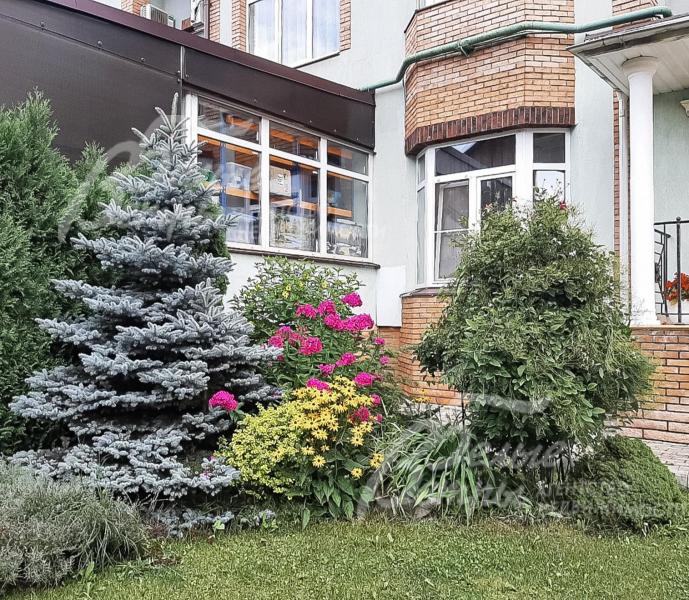 Высажено множество деревьев