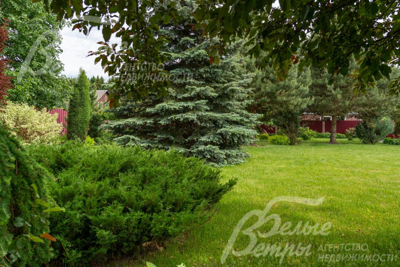 Высажен естественный газон, проложены 4 магистрали для автоматического полива