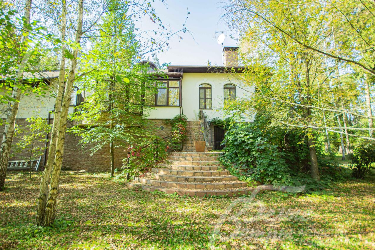 Выход из дома на лесной участок 27 соток со множеством взрослых деревьев 