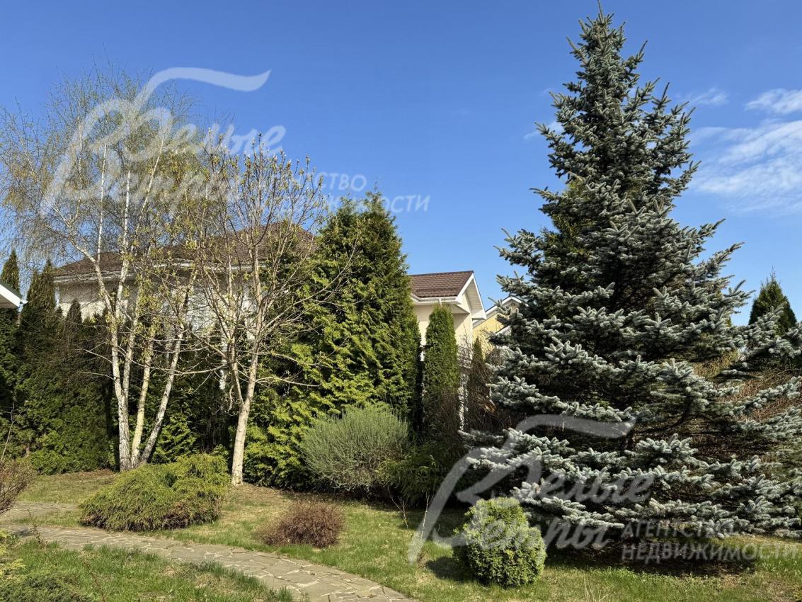 В ландшафтном дизайне - сочетание лесного и паркового стилей