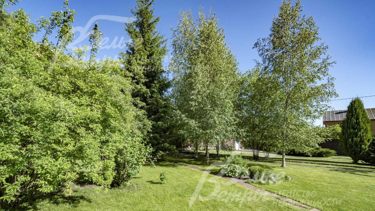 На участке есть березы, голубые ели, другие взрослые деревья