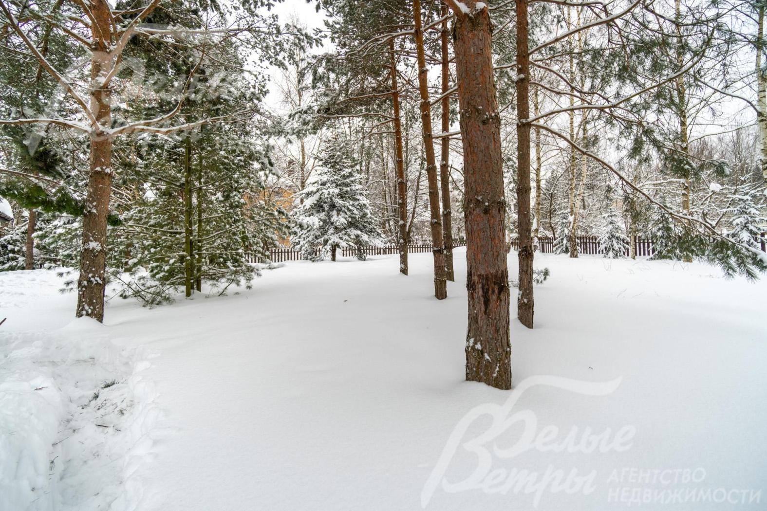 На территории растут взрослые деревья, в том числе крупномерные хвойные