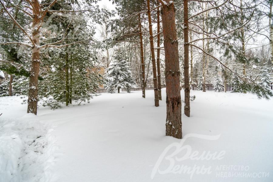 На территории растут взрослые деревья, в том числе крупномерные хвойные