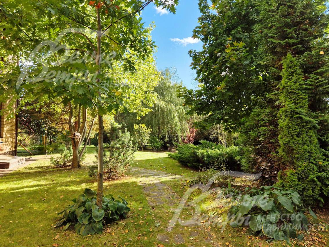 Множество лесных и декоративных деревьев.