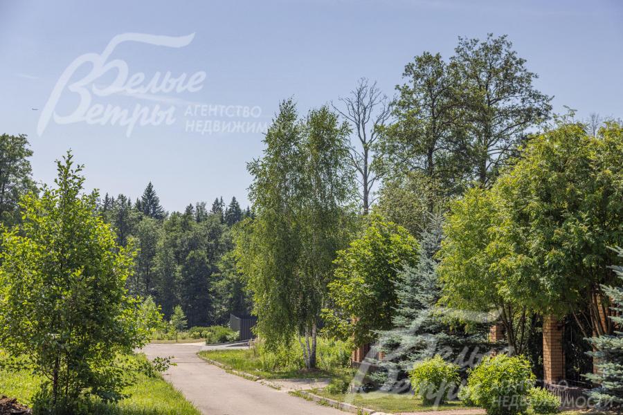 Участок - прилесной, находится в живописном месте Подмосковья в окружении леса рядом с рекой Жилетовка и родником