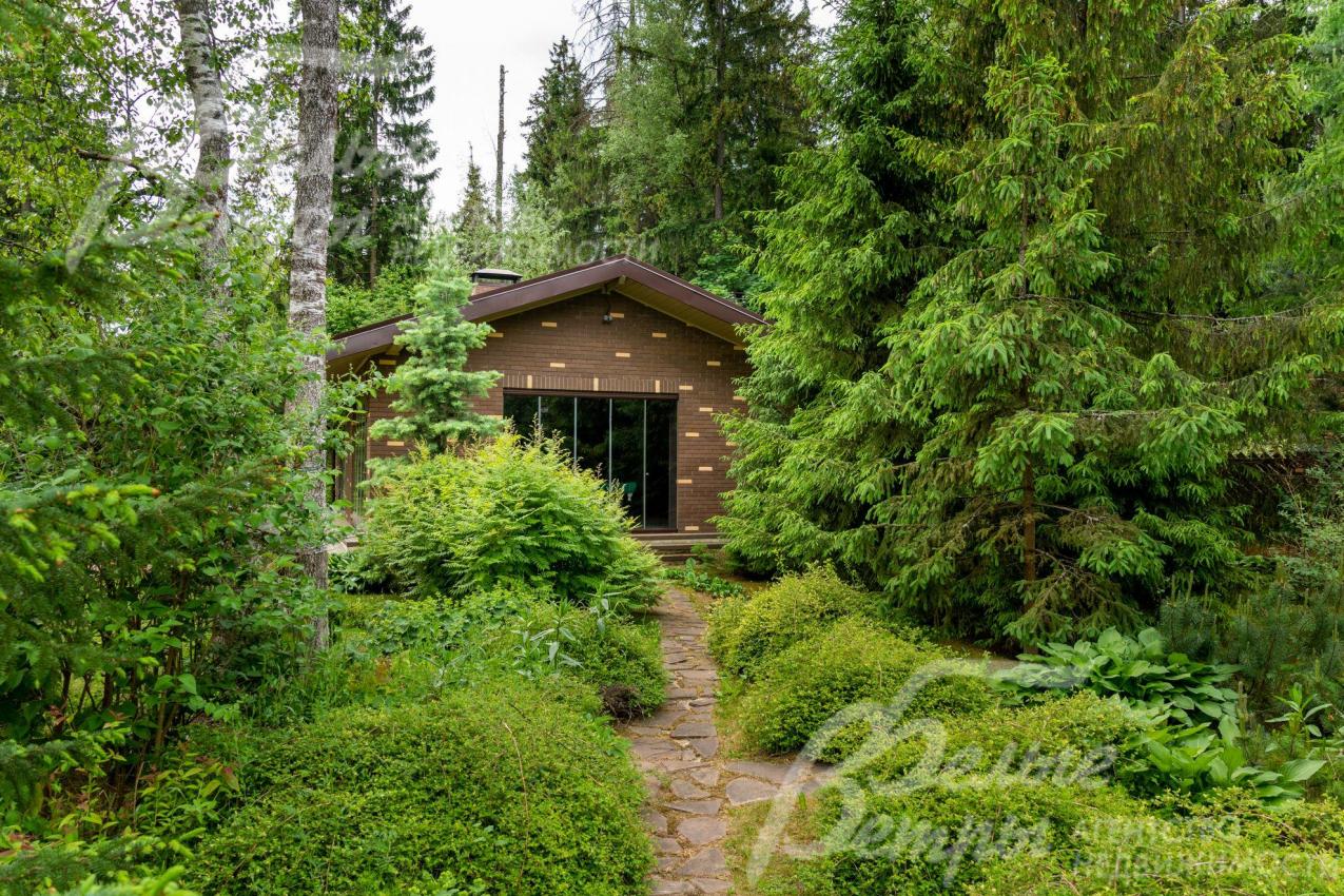 На участке множество взрослых лесных деревьев.