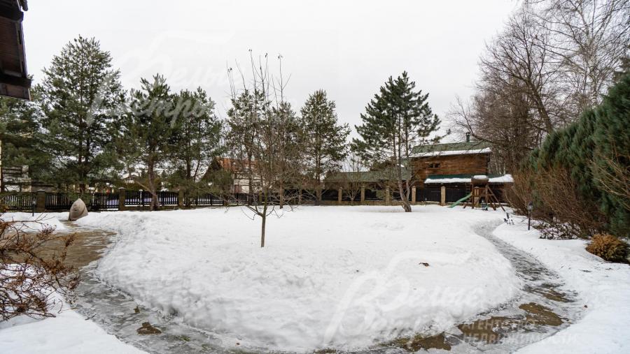 Высажены взрослые деревья