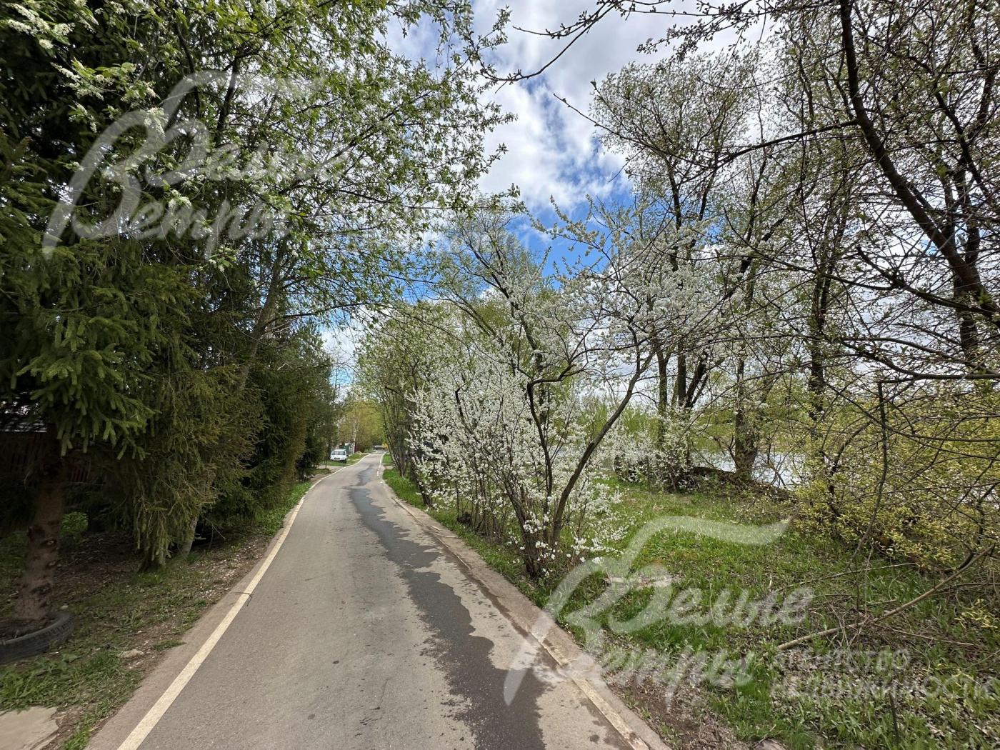 Дорога в деревне