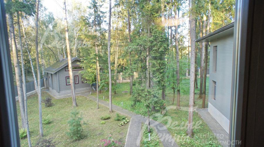 Вид со второго этажа во двор на участок