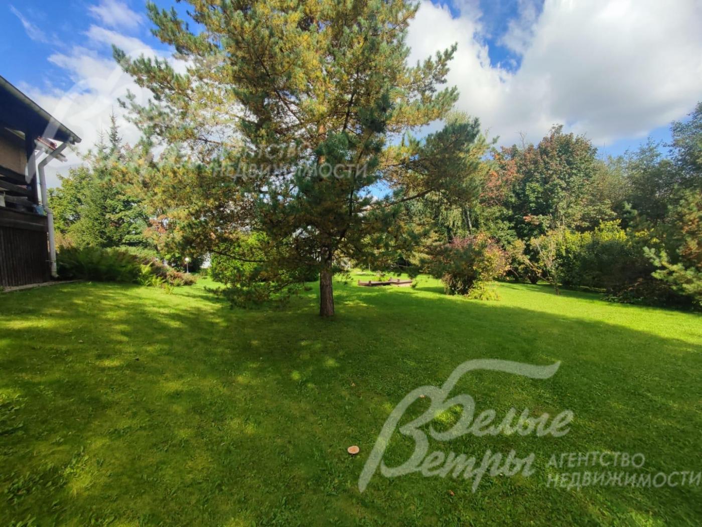 Большой участок благоустроен, на нём частично сохранены взрослые лесные деревья