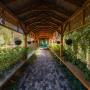 Живое обрамление галереи создаёт ощущение уединённого природного тоннеля