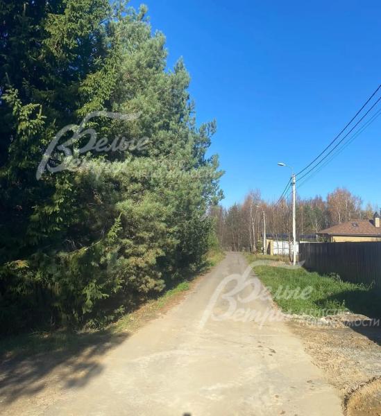 Асфальтированные дороги в поселке