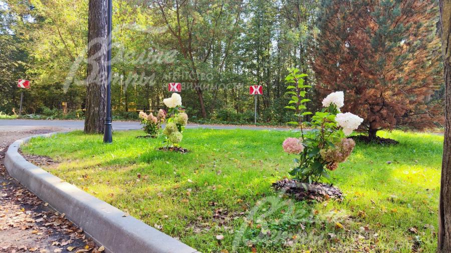 Благоустройство улиц в поселке Бородино вилладж.