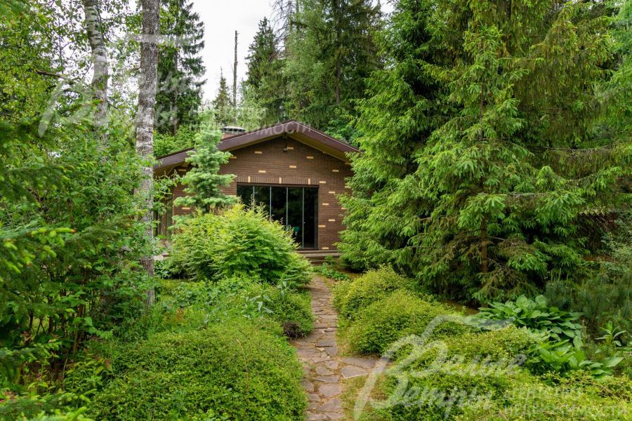 На участке множество взрослых лесных деревьев.